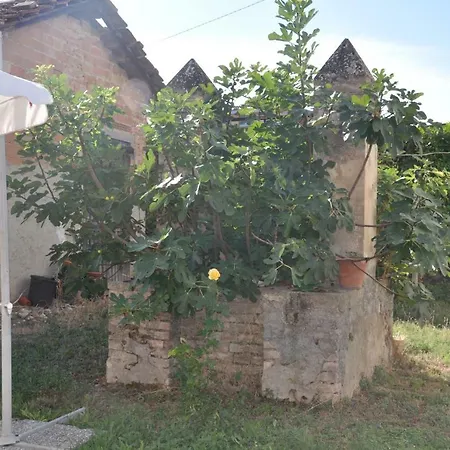 Agriturismo Gioia Di Fragole